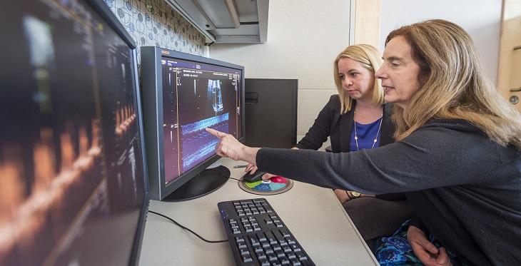 Image of people discussing information on computer screen